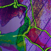 Tanja Meier Grafik Design Print, Layout