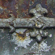 Design, Person, Geschäftserfolg, Zusammenarbeit